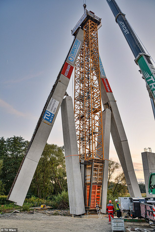 Chi&ecirc;m ngưỡng c&acirc;y cầu c&oacute; thể gập mở như chiếc d&ugrave; - Ảnh 2.