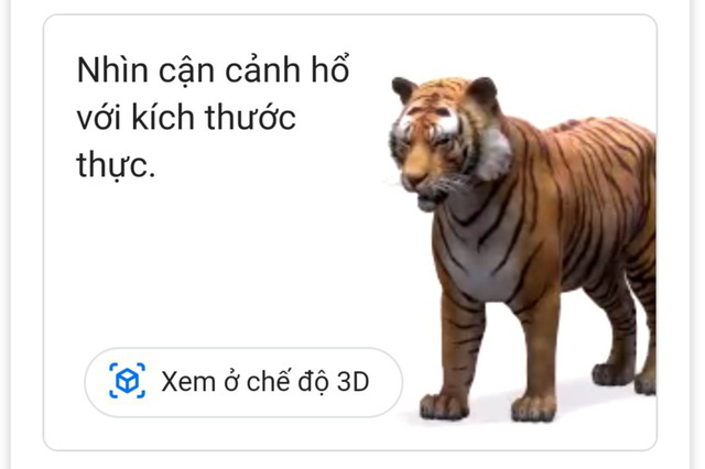 Thăm vườn bách thú 3D trong mùa dịch COVID-19 chỉ với Google Search - Ảnh 2.