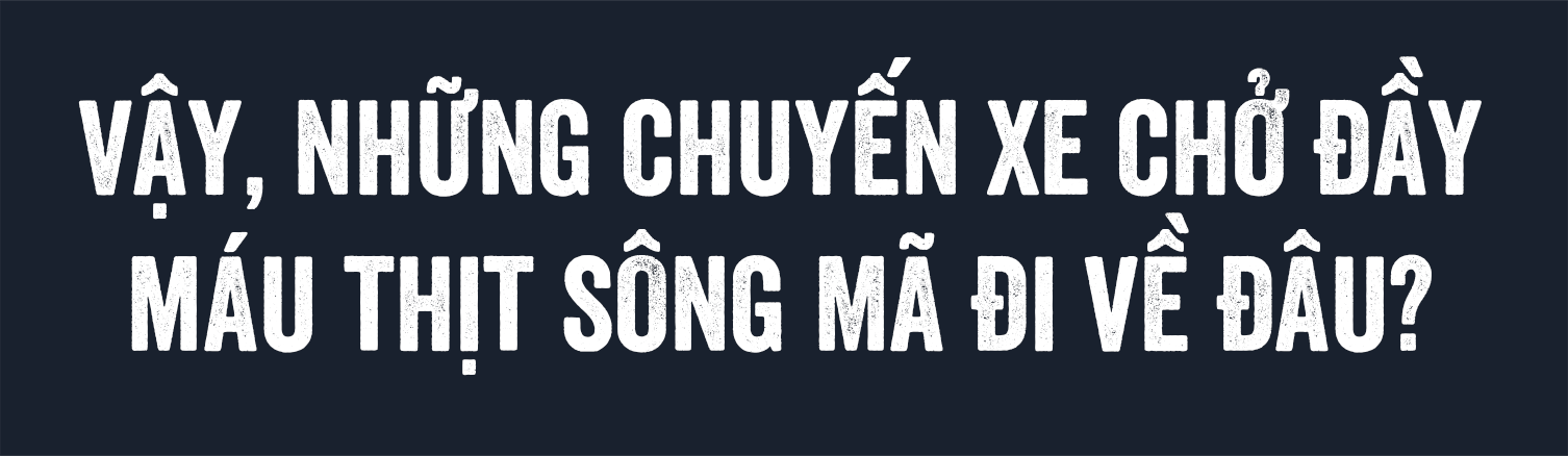 Cáo chín đuôi sông Mã: Chặn chỗ này, nó lại tung hoành chỗ khác... - Ảnh 6.