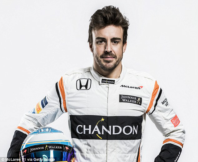 Người hâm mộ muốn Fernando Alonso trở lại F1 - Ảnh 1.