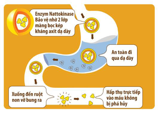 Nattokinase Jintan &ndash; Giải ph&aacute;p mới d&agrave;nh cho người tai biến từ Nhật - Ảnh 2.