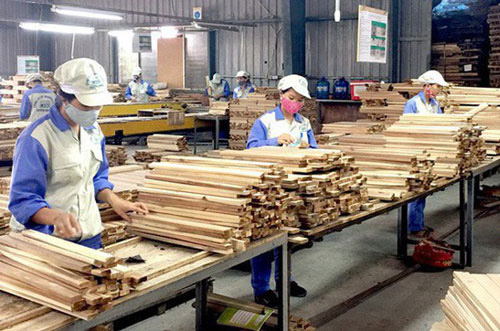 EVFTA không phải là con đường trải đầy hoa hồng - Ảnh 1.