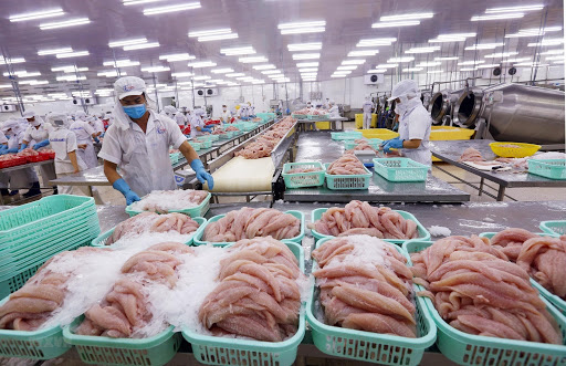 EVFTA không phải là con đường trải đầy hoa hồng - Ảnh 2.