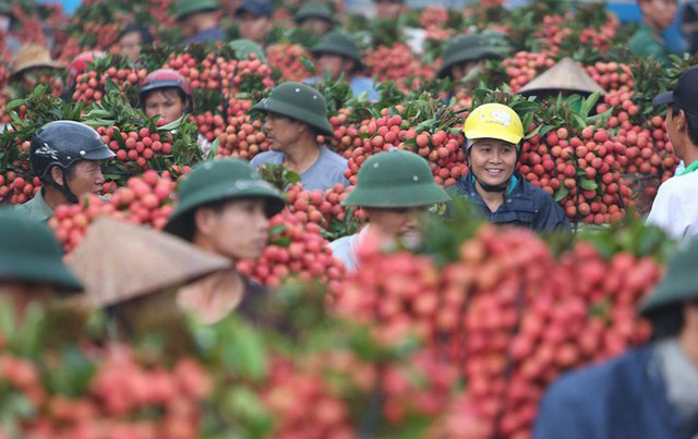 Tăng cường giám sát nông, thủy sản xuất khẩu sang Trung Quốc - Ảnh 1.