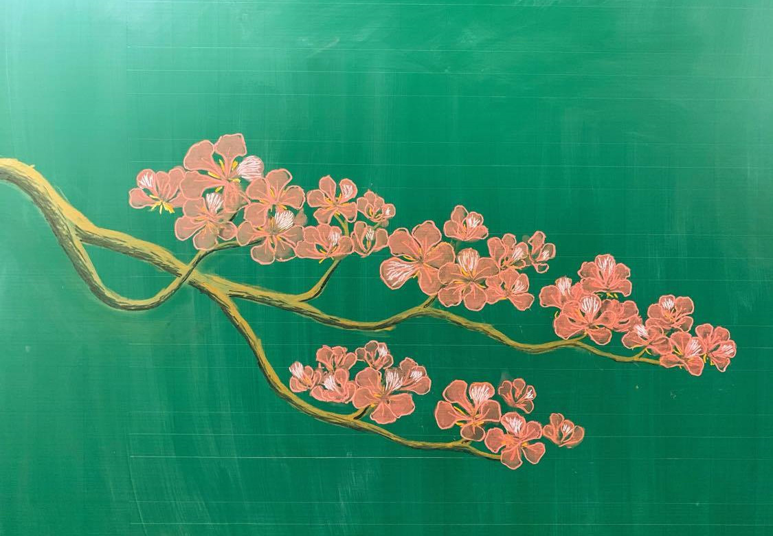 Thầy gi&aacute;o 9X vẽ hoa phượng tr&ecirc;n bảng phấn g&acirc;y sốt cộng đồng mạng - Ảnh 8.