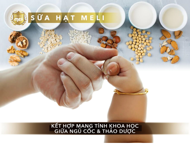 Sữa hạt ngũ cốc – Sản phẩm hỗ trợ sức khỏe gia đình bạn - Ảnh 5.