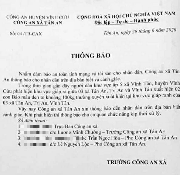 Thực hư thông tin 2 con báo đen 100kg xuất hiện gần nhà dân - Ảnh 1.