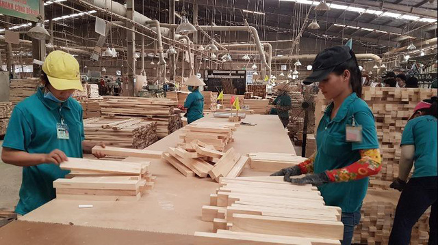 Nhiều doanh nghiệp gỗ khôi phục được 50-60% hoạt động sản xuất kinh doanh - Ảnh 1.