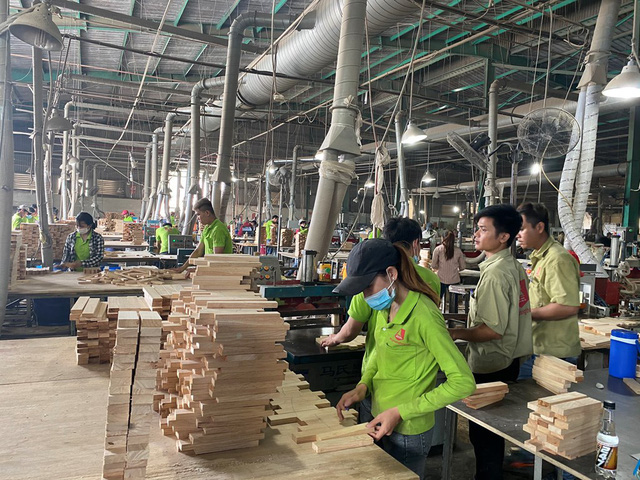 Thấy gì từ việc Hải quan áp mã HS với gỗ ván ghép thanh? - Ảnh 1. Thấy gì từ việc Hải quan áp mã HS với gỗ ván ghép thanh? - Ảnh 1.