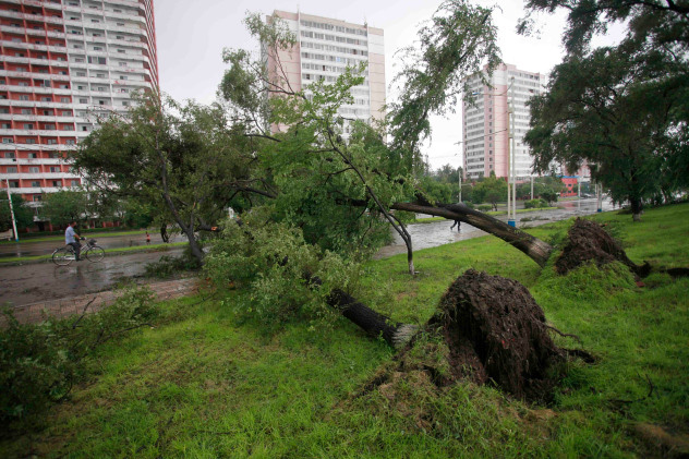 Trung Quốc, Hàn Quốc ra cảnh báo về cơn bão Maysak - Ảnh 1.