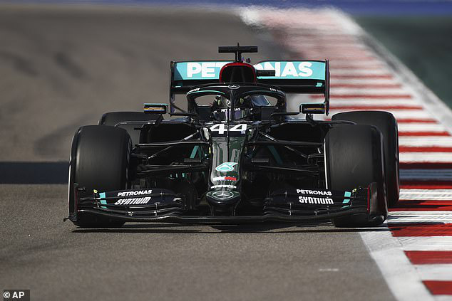 F1 xóa án phạt điểm với Lewis Hamilton - Ảnh 1.