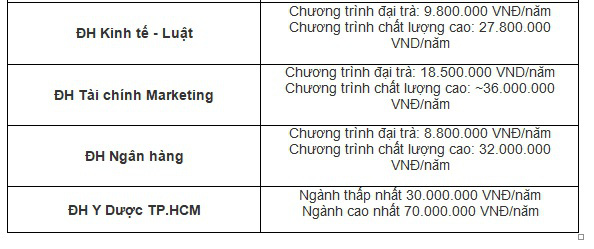 Các trường đại học hot ở TP.HCM công bố mức học phí - Ảnh 2.