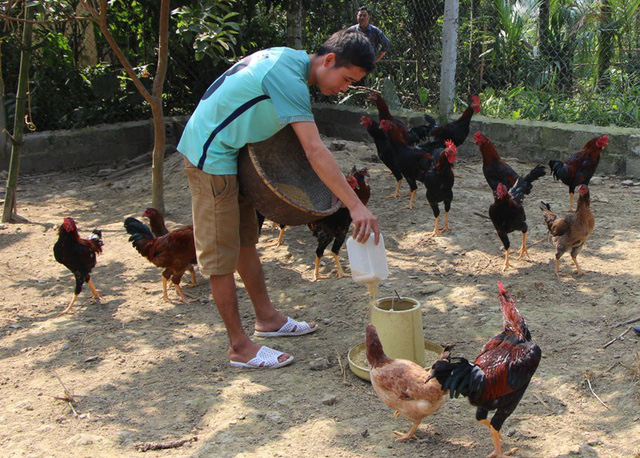 Chăn nuôi tăng trưởng cao nhờ kiểm soát tốt dịch bệnh - Ảnh 2.