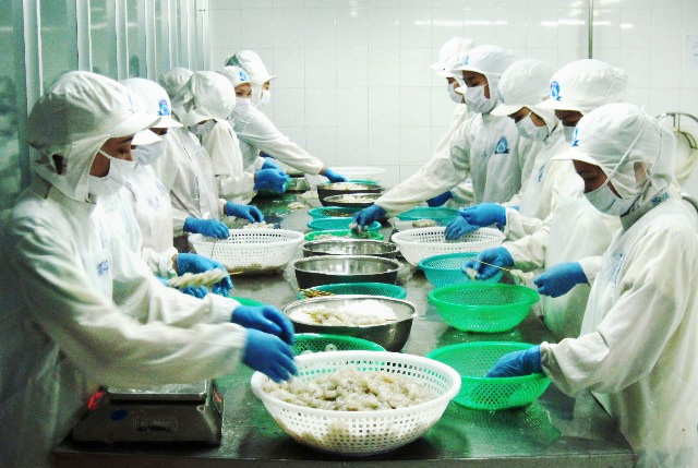 EVFTA có hiệu lực, tôm Việt vào EU tăng trưởng hai con số - Ảnh 2. EVFTA có hiệu lực, tôm Việt vào EU tăng trưởng hai con số - Ảnh 2.