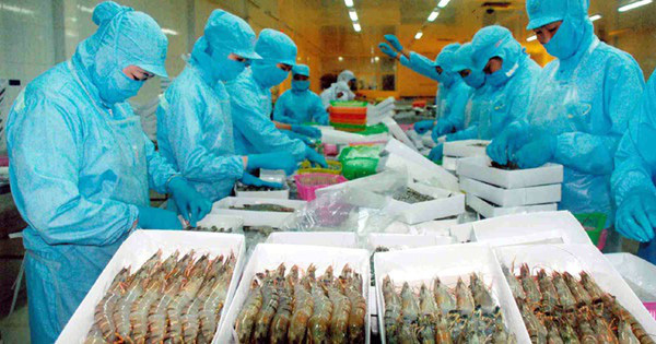 EVFTA có hiệu lực, tôm Việt vào EU tăng trưởng hai con số - Ảnh 1. EVFTA có hiệu lực, tôm Việt vào EU tăng trưởng hai con số - Ảnh 1.