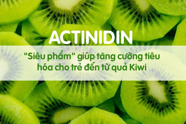 Actinidin - Siêu phẩm giúp tăng cường tiêu hóa cho trẻ đến từ quả Kiwi - Ảnh 1. Actinidin - Siêu phẩm giúp tăng cường tiêu hóa cho trẻ đến từ quả Kiwi - Ảnh 1.