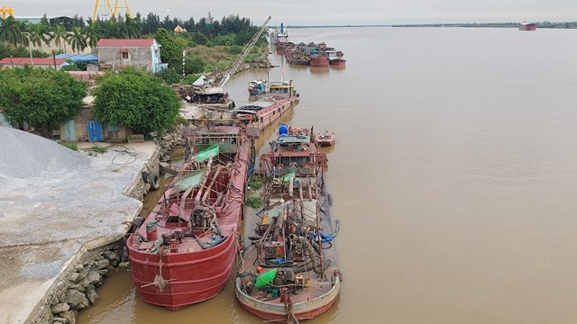 Bắt giữ số lượng tàu khai thác cát trái phép lớn nhất từ trước đến nay - Ảnh 1.