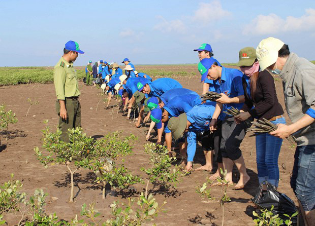 Việt Nam chủ động thực hiện cam kết chống biến đổi khí hậu và phát triển kinh tế xanh - Ảnh 1.