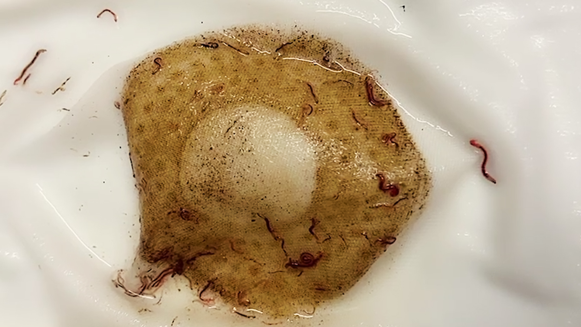 H&agrave; Nội: H&agrave;ng trăm hộ d&acirc;n khốn khổ v&igrave; nước sinh hoạt &ldquo;bẩn&rdquo; - Ảnh 2.