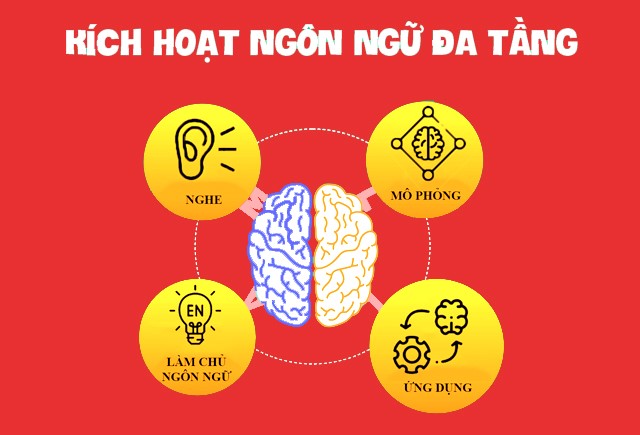 Thoát khỏi nỗi sợ tiếng Anh nhờ phương pháp MLLA của học viện Metis - Ảnh 1.