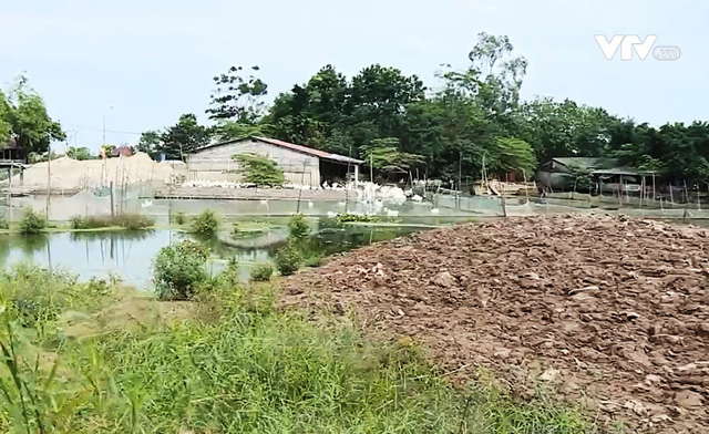 Người dân bức xúc vì ao hồ bị san lấp - Ảnh 2.