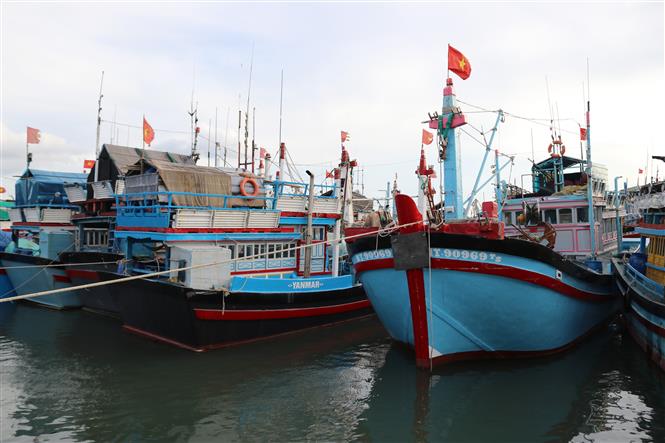 Bão số 9 là cơn bão mạnh nhất mùa bão năm nay - Ảnh 4. Bão số 9 là cơn bão mạnh nhất mùa bão năm nay - Ảnh 4.