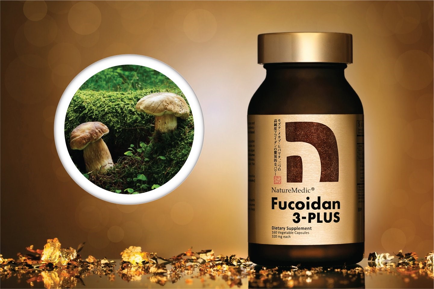 fuco2_271221 fuco2_271221