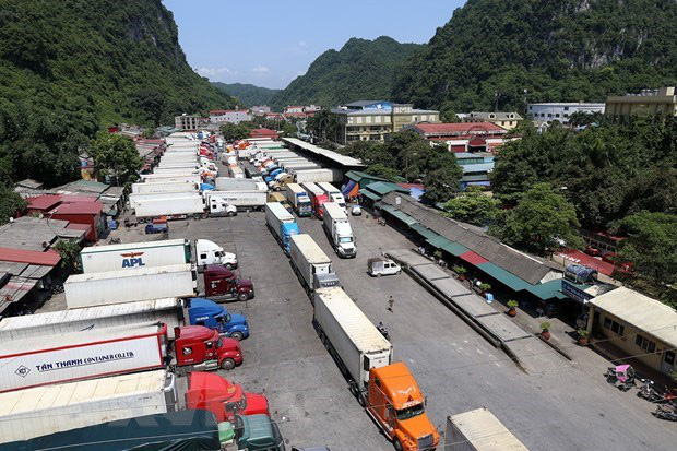 Tăng cường xuất khẩu nông sản những ngày đầu năm - Ảnh 1. Tăng cường xuất khẩu nông sản những ngày đầu năm - Ảnh 1.