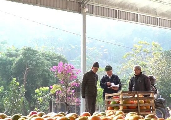 Đổi thay trên quê hương cách mạng Kim Bình lịch sử - Ảnh 1.