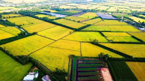
The Mekong Delta is home to 17 million people, serving as the largest agricultural production center within Viet Nam.
