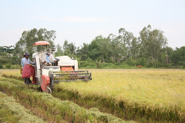 Nghị quyết 120: Hóa giải thách thức, thay đổi tư duy sản xuất của người dân ĐBSCL - Ảnh 2.