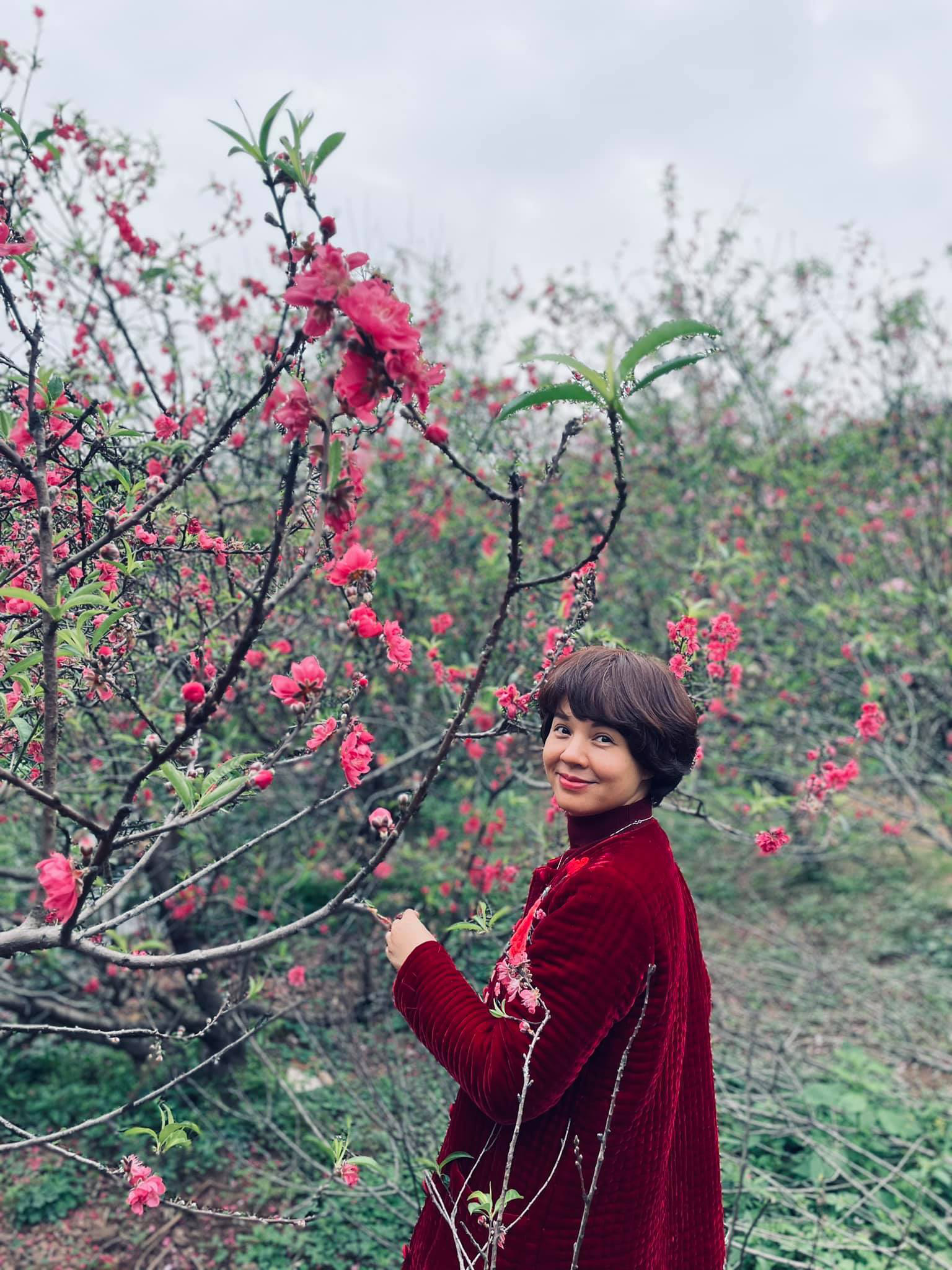 Điểm danh những MC t&oacute;c ngắn cực trẻ trung ở VTV - Ảnh 1.