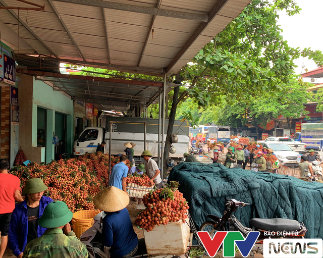 Vải thiều Lục Ngạn được cấp bằng bảo hộ chỉ dẫn địa lý tại Nhật Bản - Ảnh 1.