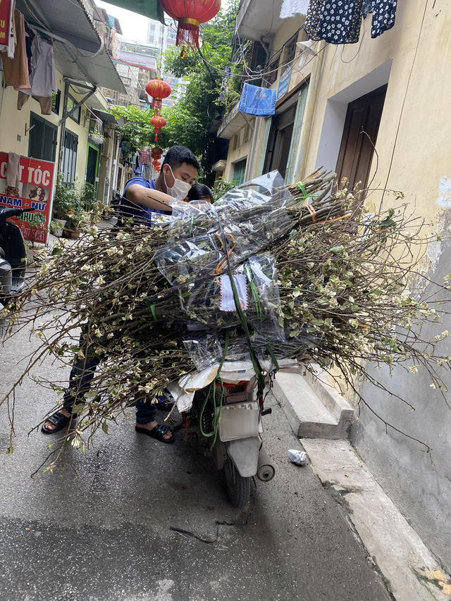 Cơn sốt hoa táo mèo: Tiểu thương ngày nhập 300 bó không đủ bán - Ảnh 3.