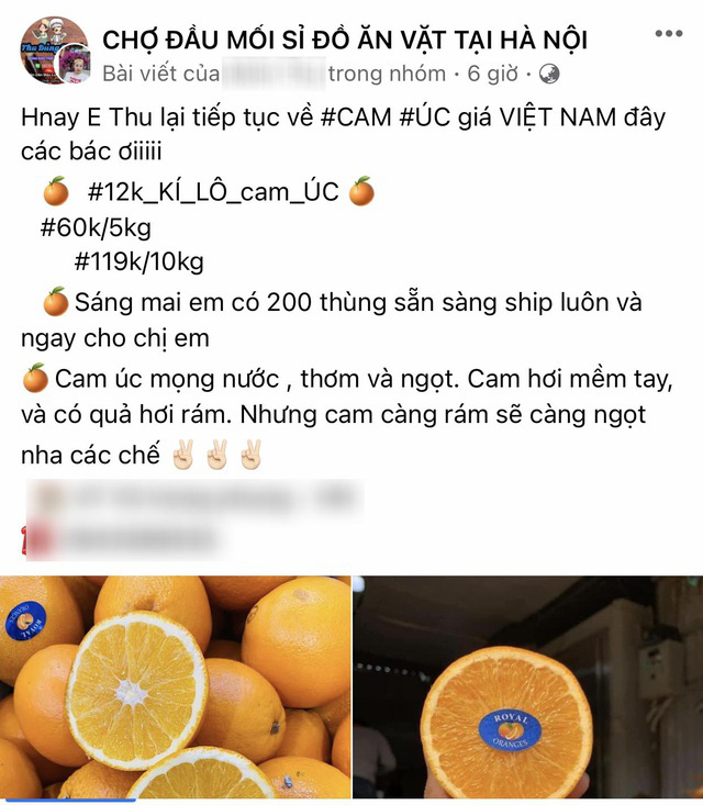 Cam Úc giá siêu rẻ bán dọc vỉa hè, tiểu thương tiết lộ sự thật - Ảnh 2.