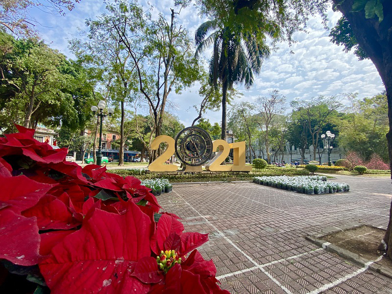 The colouful flower carpet and symbolic number installation of the year are adorning the Con coc (the Fog) Flower Garden.  