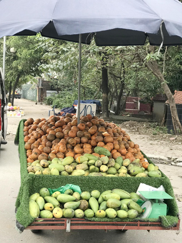 Cam sành đặc sản giá siêu rẻ 8.000 đồng/kg, tiểu thương tiết lộ sự thật - Ảnh 3.