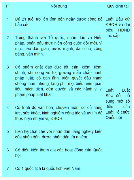 Công dân tự ứng cử đại biểu Quốc hội cần có những tiêu chuẩn nào? - Ảnh 1.