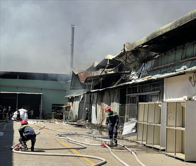 Tập đoàn Hoa Sen: Vụ cháy ở nhà máy Bình Dương không ảnh hưởng đến hoạt động sản xuất kinh doanh của tập đoàn - Ảnh 1.