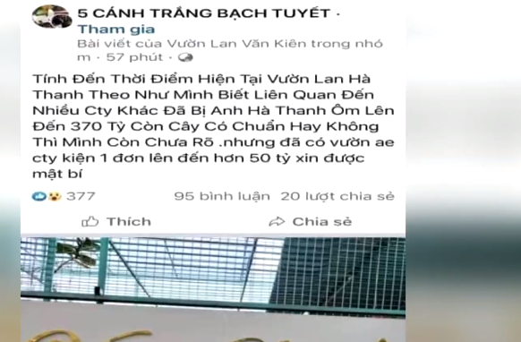 Thực hư tin đồn chủ vườn lan đột biến “ôm” 200 tỷ đồng bỏ trốn - Ảnh 2.