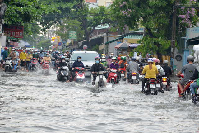 Cây ngã đổ, nước tràn nhà dân sau cơn mưa lớn trái mùa ở TP Hồ Chí Minh - Ảnh 1.