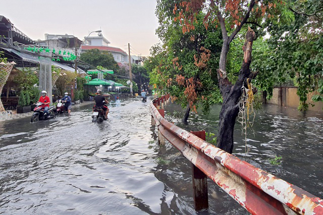 Cây ngã đổ, nước tràn nhà dân sau cơn mưa lớn trái mùa ở TP Hồ Chí Minh - Ảnh 5.