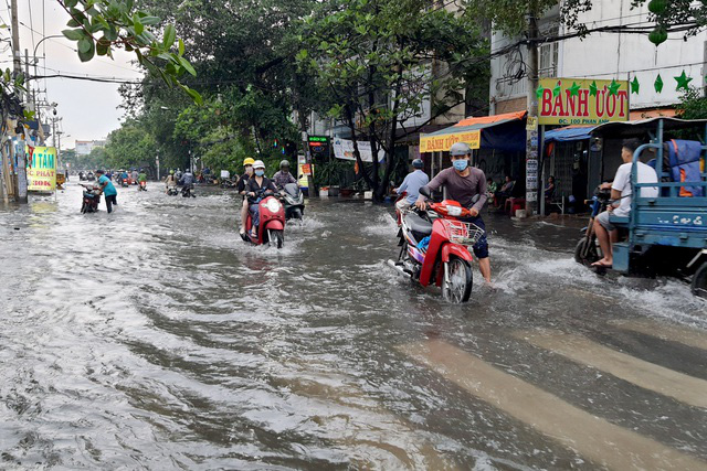 Cây ngã đổ, nước tràn nhà dân sau cơn mưa lớn trái mùa ở TP Hồ Chí Minh - Ảnh 6.