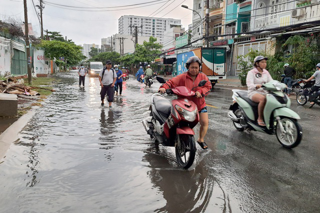 Cây ngã đổ, nước tràn nhà dân sau cơn mưa lớn trái mùa ở TP Hồ Chí Minh - Ảnh 2.