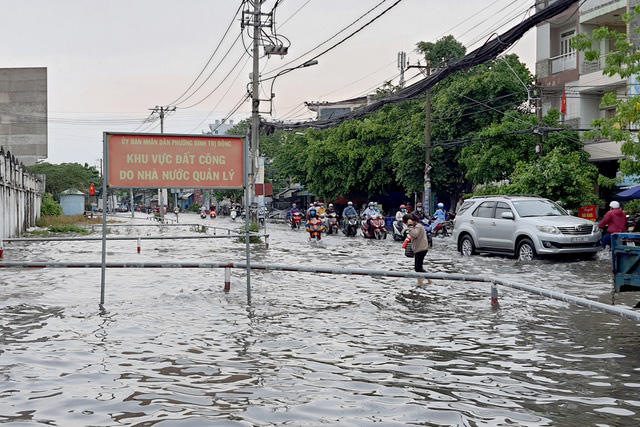 Cây ngã đổ, nước tràn nhà dân sau cơn mưa lớn trái mùa ở TP Hồ Chí Minh - Ảnh 3.