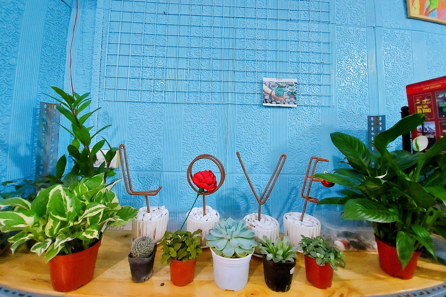 Kh&ocirc;ng muốn s&aacute;ch chết, thanh ni&ecirc;n trẻ mở thư viện miễn ph&iacute; giữa l&ograve;ng thủ đ&ocirc; - Ảnh 10.