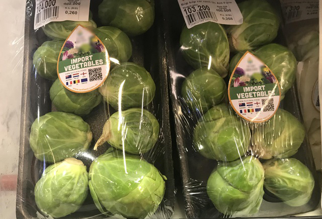 Bay từ Australia về Việt Nam, bắp cải tí hon được hét giá 400.000 đồng/kg - Ảnh 1. Bay từ Australia về Việt Nam, bắp cải tí hon được hét giá 400.000 đồng/kg - Ảnh 1.