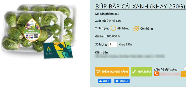 Bay từ Australia về Việt Nam, bắp cải tí hon được hét giá 400.000 đồng/kg - Ảnh 2. Bay từ Australia về Việt Nam, bắp cải tí hon được hét giá 400.000 đồng/kg - Ảnh 2.