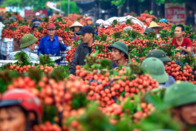 Siêu thị tăng bán vải thiều - Ảnh 1.