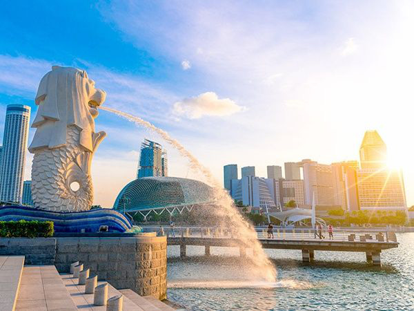 Giao thương giữa Việt Nam và Singapore ngày càng mạnh mẽ - Ảnh 2.